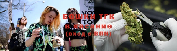 стаф Богородск
