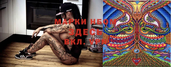 молекула духа Богородицк