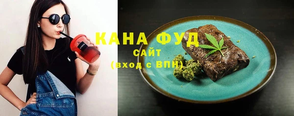 молекула духа Богородицк