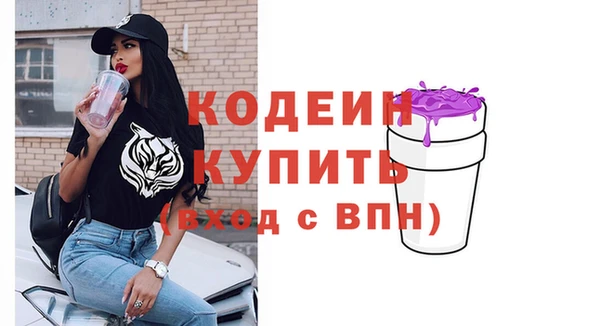 молекула духа Богородицк