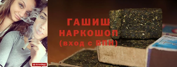 молекула духа Богородицк