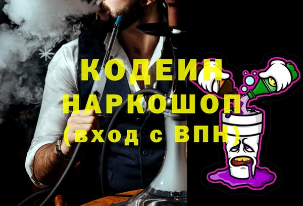 молекула духа Богородицк