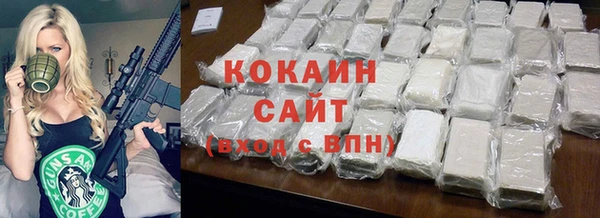 молекула духа Богородицк