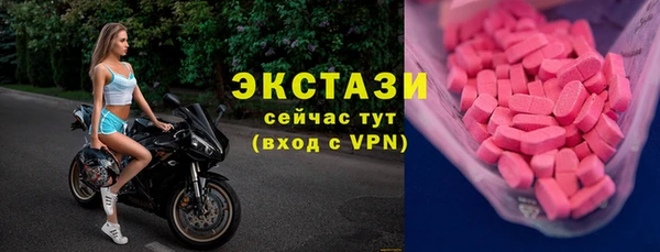 молекула духа Богородицк