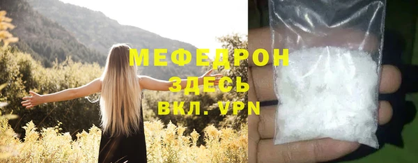 молекула духа Богородицк